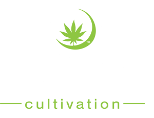 Agawa Cultivation | Holistic Cannabis Cultivation