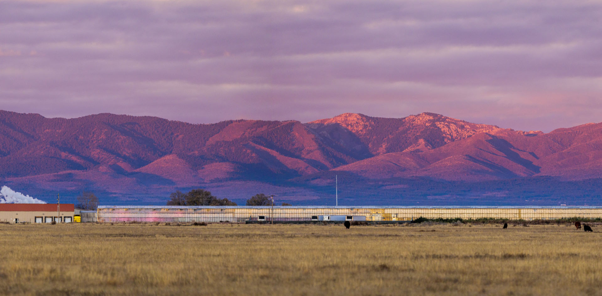 Agawa Cultivation | New Mexico Proud